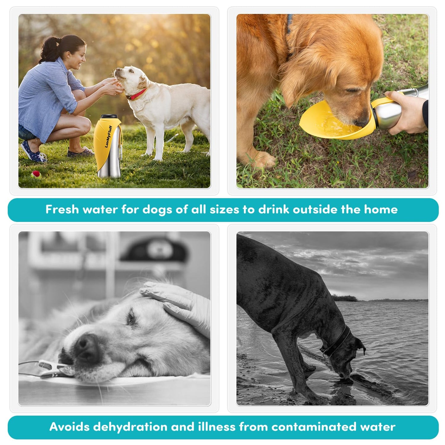 **800ml Fold-Out Dog Water Bottle (Stainless Steel - Sunset Yellow)**

“Perfect for Long Trips, Hiking, and Travel”